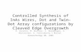 Controlled Synthesis of InAs Wires, Dot and Twin-Dot Array configurations by Cleaved Edge Overgrowth E. Uccelli, M. Bichler, S. Nürnberger, G. Abstreiter,