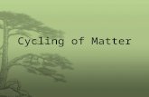 Cycling of Matter. What will we learn? Cycling of matter within living systems Example of living system: compost bin.