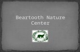 1. The Beartooth Nature Center is unknown to its target audience in terms of both its existence and its mission. 2. The Beartooth Nature Center needs.