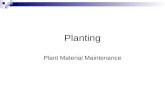Planting Plant Material Maintenance. Transplanting Systems Bare Root Containers Ball and Burlap Tree Spade.