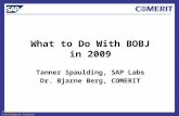 The Business Intelligence Experts What to Do With BOBJ in 2009 Tanner Spaulding, SAP Labs Dr. Bjarne Berg, COMERIT.