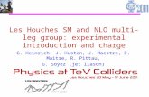 Les Houches SM and NLO multi-leg group: experimental introduction and charge G. Heinrich, J. Huston, J. Maestre, D. Maitre, R. Pittau, G. Soyez (jet liason)