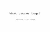 What causes bugs? Joshua Sunshine. Bug taxonomy Bug components: – Fault/Defect – Error – Failure Bug categories – Post/pre release – Process stage – Hazard.