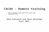CACAO - Remote training Gene Function and Gene Ontology Fall 2011 CACAO.