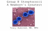 Group B Streptococci A Newborn’s Greatest Threat? Tracy Bumsted, MD, MPH.