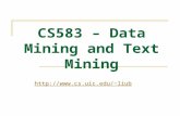CS583 – Data Mining and Text Mining liub.