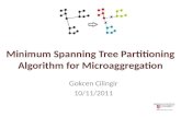 Minimum Spanning Tree Partitioning Algorithm for Microaggregation Gokcen Cilingir 10/11/2011.