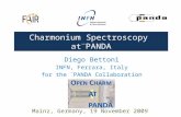 Charmonium Spectroscopy at  PANDA Diego Bettoni INFN, Ferrara, Italy for the  PANDA Collaboration Mainz, Germany, 19 November 2009.