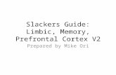 Slackers Guide: Limbic, Memory, Prefrontal Cortex V2 Prepared by Mike Ori.