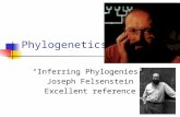 Phylogenetics “Inferring Phylogenies” Joseph Felsenstein Excellent reference.