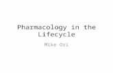 Pharmacology in the Lifecycle Mike Ori. Compare fat, muscle, body water, renal clearance, hepatic clearance, and skin qualities across the lifecycle.