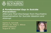 A Fundamental Gap in Suicide Prevention: Aftercare Post Discharge from Psychiatric Hospitalization for Suicide Ideation and Attempt Sophia G. Schmidt Advisor: