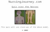 Quiz over the Nerves This quiz will use close-ups of the above model. NursingJourney.com © 2005.