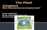 What characteristics do all plants share? All are autotrophs. All are many-celled eukaryotes. All plant cells have cell walls.