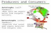 Producers and Consumers Autotrophs (self-feeders): Make their own organic matter from inorganic nutrients. Heterotrophs (other-feeders): Organisms that.