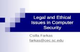 Legal and Ethical Issues in Computer Security Csilla Farkas farkas@cec.sc.edu.