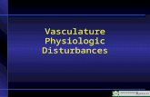 Vasculature Physiologic Disturbances. Blood Flow Studies Heart And Vessels X-ray plain film for pulmonary vessels only Nuclear Medicine – V/Q Scan Angiography.