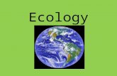 Ecology. What is Ecology? Ecology -- study of interactions that occur among organisms and their environments. Ecologist = a scientist who studies these.