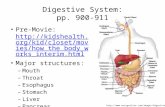 Digestive System: pp. 900-911 Pre-Movie:  closet/movies/how_the_b ody_works_interim.html  closet/movies/how_the_b.