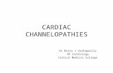 CARDIAC CHANNELOPATHIES Dr Binjo J Vazhappilly SR Cardiology Calicut Medical College.