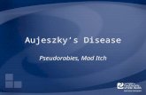 Aujeszky’s Disease Pseudorabies, Mad Itch. Overview Organism Economic Impact Epidemiology Transmission Clinical Signs Diagnosis and Treatment Prevention.