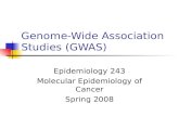 Genome-Wide Association Studies (GWAS) Epidemiology 243 Molecular Epidemiology of Cancer Spring 2008.