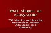 What shapes an ecosystem? TSW identify and describe interactions between individuals in a community.