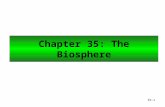 35-1 Chapter 35: The Biosphere. 35-2 Climate and the Biosphere Climate refers to the prevailing weather conditions in an area as dictated by temperature,