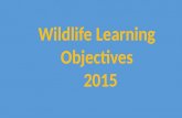 Wildlife Learning Objectives 2015 2015. Birds, Mammals, Amphibians and Reptiles Species Identification: Identify wildlife species common to NS and the.