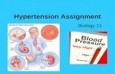 Hypertension Assignment Biology 11. 1. What is blood pressure? Blood pressure is the pressure your blood exerts on the walls of your blood vessels as.