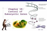 AP Biology 2007-2008 Chapter 19: Control of Eukaryotic Genes.