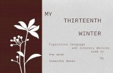 Figurative language and literary devices used in the work by Samantha Abeel MY THIRTEENTH WINTER.