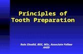 Principles of Tooth Preparation Rola Shadid, BDS, MSc, Associate Fellow AAID.