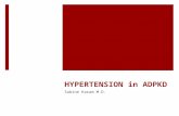 HYPERTENSION in ADPKD Sabine Karam M.D.. Introduction  ADPKD is the most common life-threatening single-gene disease  It affects over 12 million people.
