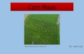 Corn Maze By: Justin Long .
