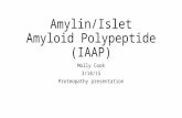 Amylin/Islet Amyloid Polypeptide (IAAP) Molly Cook 3/18/15 Proteopathy presentation.