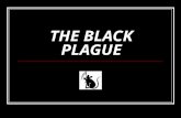 THE BLACK PLAGUE. The Italian writer Boccaccio said the Plague’s victims often… "ate lunch with their friends and dinner with their ancestors in paradise."