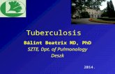 Tuberculosis Bálint Beatrix MD, PhD SZTE, Dpt. of Pulmonology Deszk 2014.