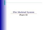 The Skeletal System Part II. Bone Development Slide 5.12 Copyright © 2003 Pearson Education, Inc. publishing as Benjamin Cummings  Osteogenesis (ossification)
