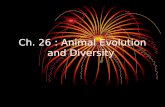 Ch. 26 : Animal Evolution and Diversity. 26.1 Invertebrate Evolution and Diverisity.