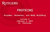 PROTEINS Enzymes, Hormones, and Body Building Lecture 4 February 2, 2015 Dr. Ponnusamy.