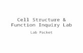 Cell Structure & Function Inquiry Lab Lab Packet.