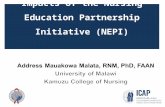 Impacts of the Nursing Education Partnership Initiative (NEPI)