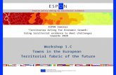 Workshop 1.C Towns in the European Territorial fabric of the future ESPON Seminar “Territories Acting for Economic Growth: Using territorial evidence to.