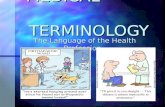 MEDICAL TERMINOLOGY MEDICAL TERMINOLOGY The Language of the Health Profession The Language of the Health Profession.
