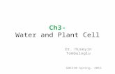 Ch3- Water and Plant Cell Dr. Huseyin Tombuloglu GBE310 Spring, 2015.