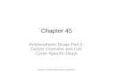 Chapter 45 Antineoplastic Drugs Part 1: Cancer Overview and Cell Cycle–Specific Drugs Copyright © 2014 by Mosby, an imprint of Elsevier Inc.