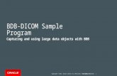 Copyright © 2015, Oracle and/or its affiliates. All rights reserved. | BDB-DICOM Sample Program Capturing and using large data objects with BDB Berkeley.