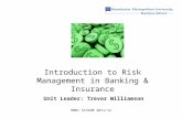 RMBI 5C3290 2011/12 Introduction to Risk Management in Banking & Insurance Unit Leader: Trevor Williamson.