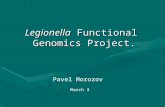 Pavel Morozov March 3 Legionella Functional Genomics Project.